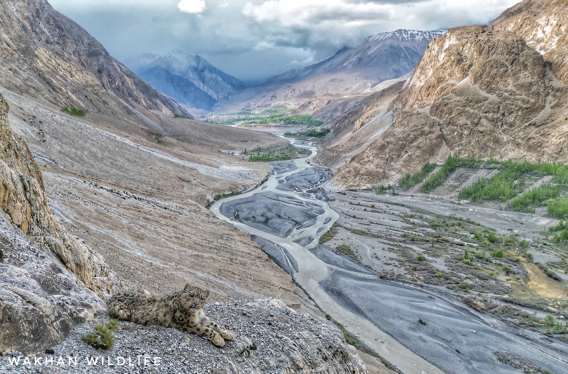 Guardians of Khunjrab